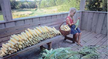 Home Food Preservation: Preserving Apples, Tomatoes and Corn Image